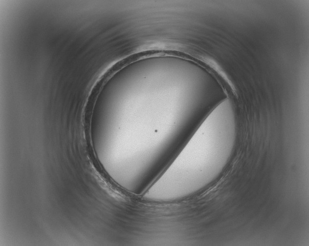 X0000068730972200604280946