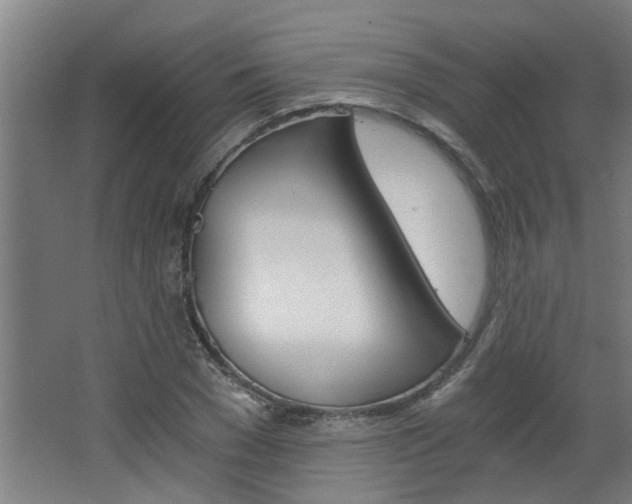 X0000068730977200604280946