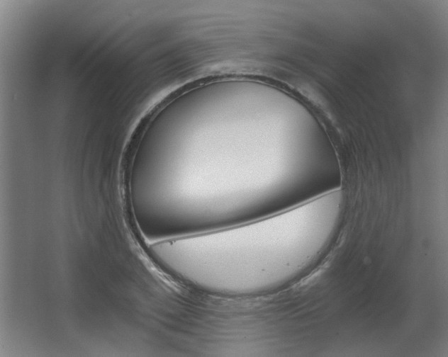 X0000068730981200604280946