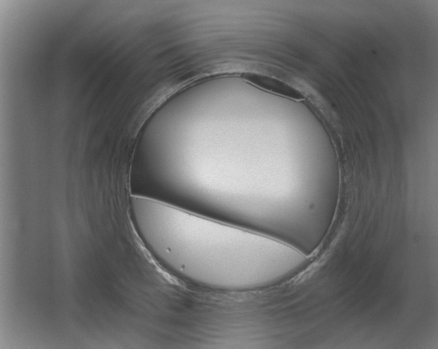 X0000068730993200604280945