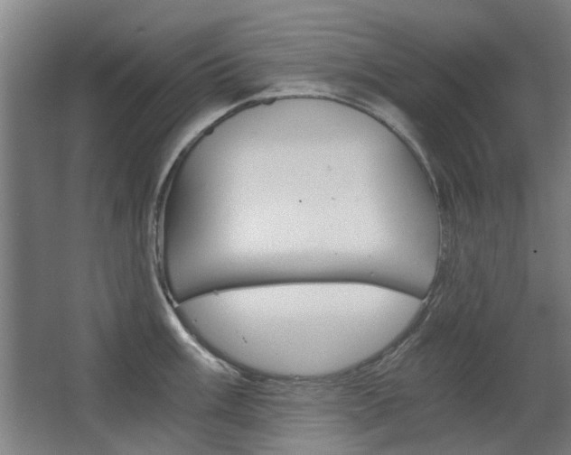 X0000068731003200604280945