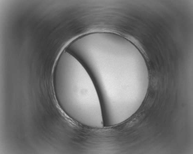 X0000068731004200604280945
