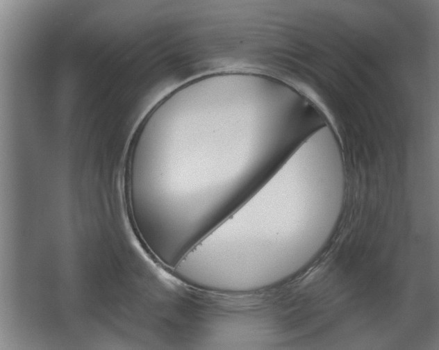 X0000068731007200604280945