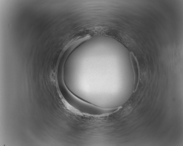 X0000068731010200604280944