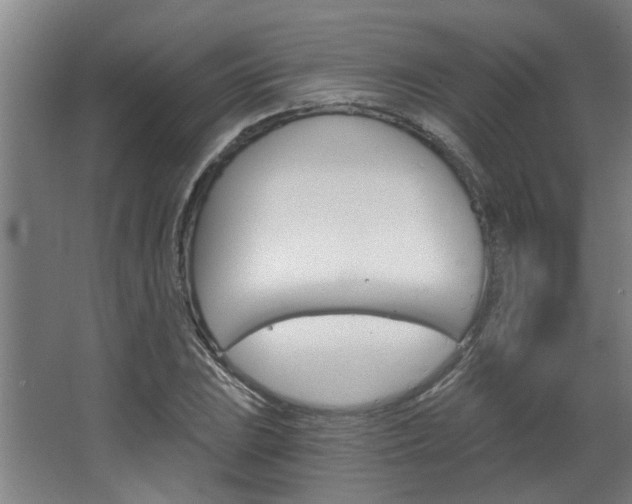 X0000068731023200604280945