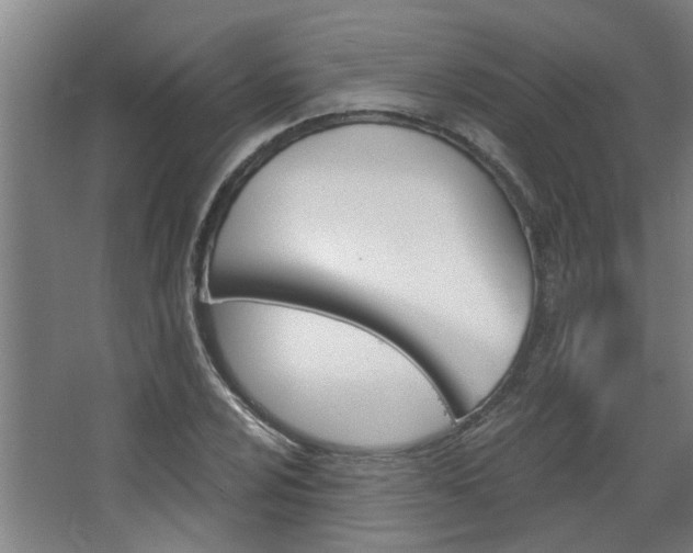 X0000068731024200604280945