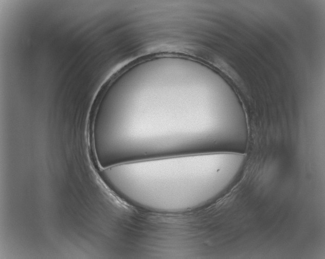 X0000068731028200604280945