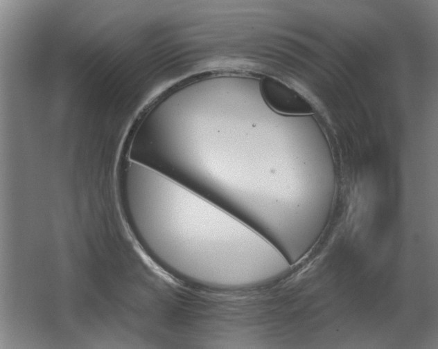 X0000068731037200604280945