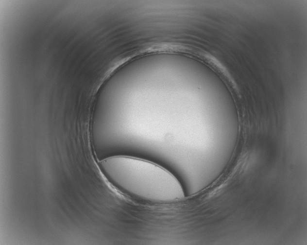 X0000068731041200604280945