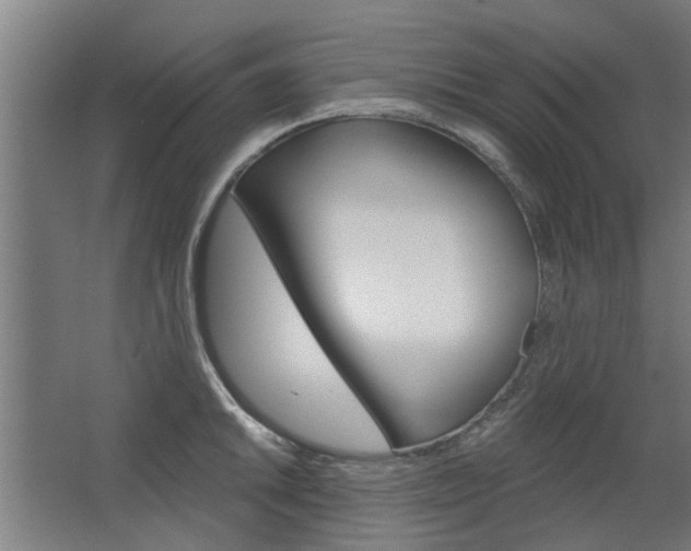 X0000068731046200604280945