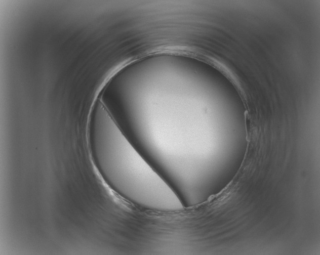 X0000068731050200604280945
