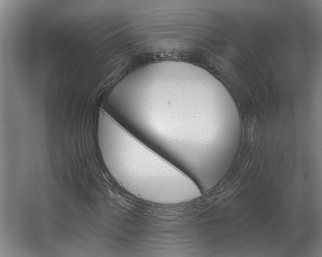 X0000068731060200604280944