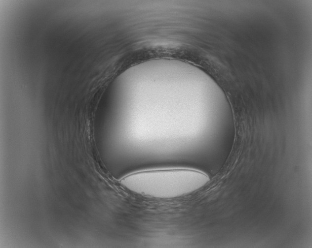 X0000068731061200604280944