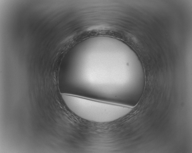 X0000068731062200604280944