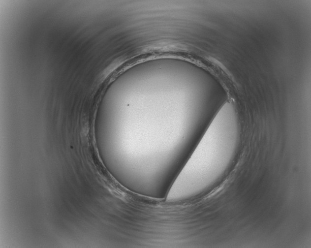 X0000068731065200604280944