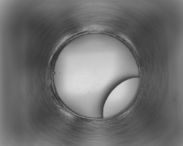 X0000068731075200604280944