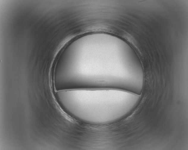 X0000068731082200604280944