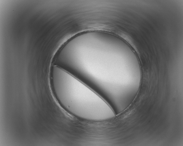 X0000068731093200604280944