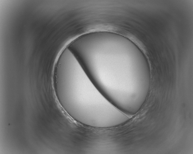 X0000068731104200604280944