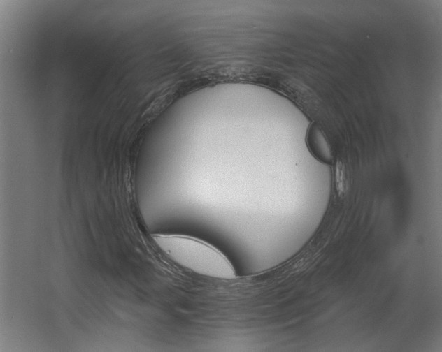 X0000068731107200604280943