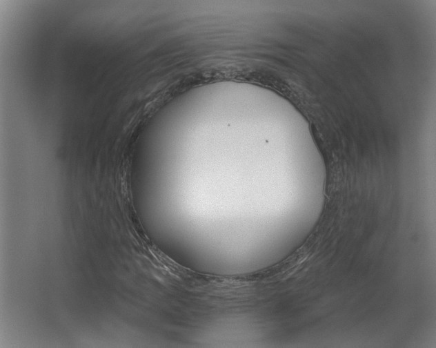 X0000068731109200604280943