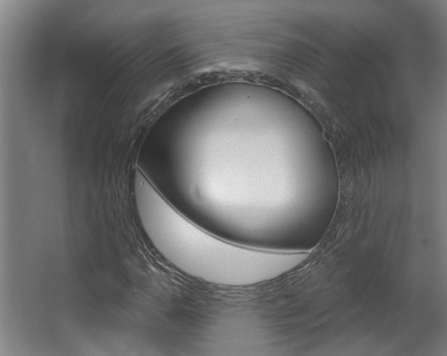 X0000068731110200604280943