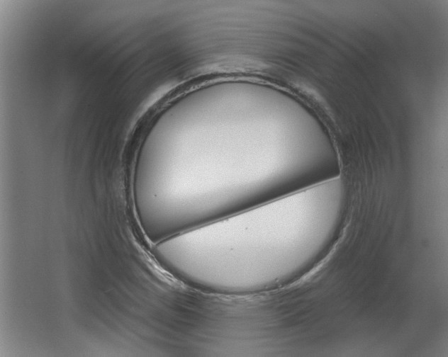 X0000068731114200604280943