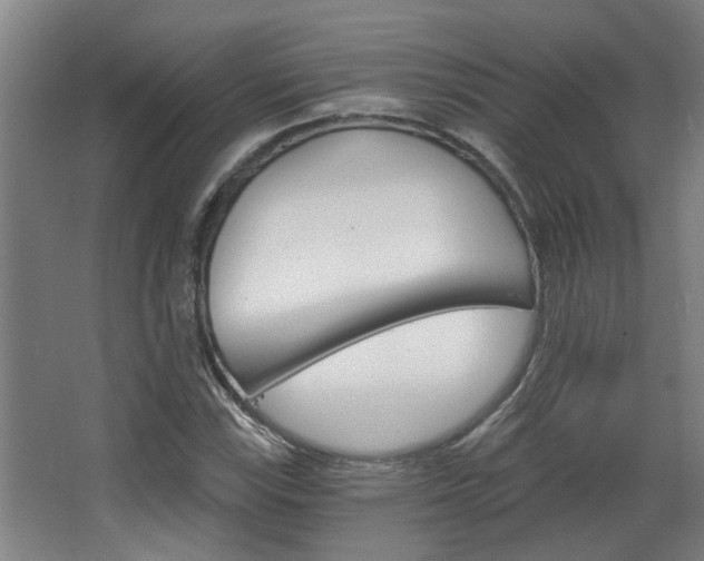X0000068731115200604280943