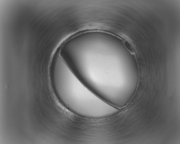 X0000068731120200604280943