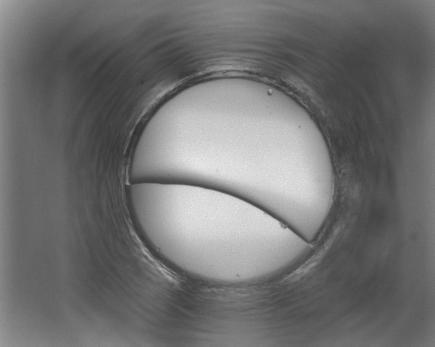 X0000068731121200604280943