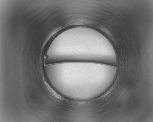 X0000068731122200604280943