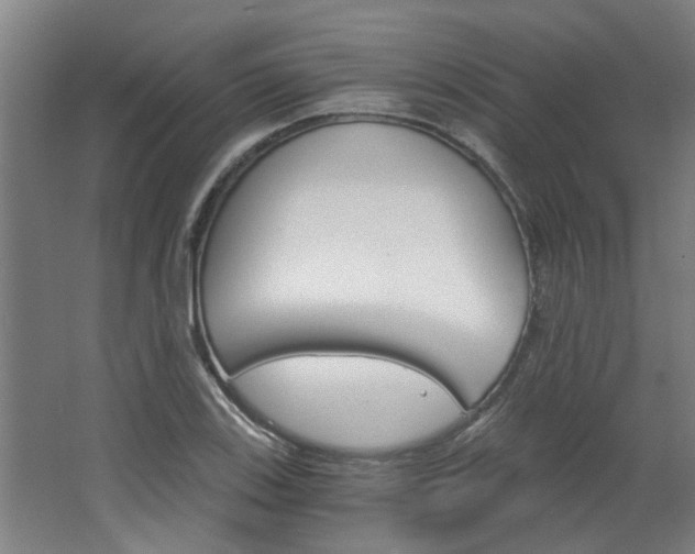X0000068731123200604280943
