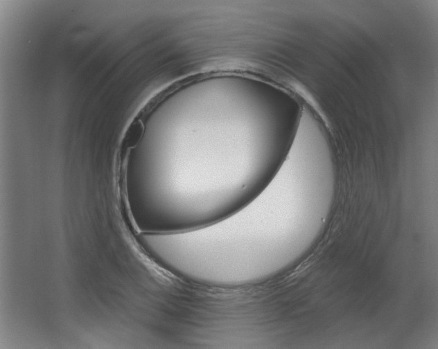 X0000068731124200604280943