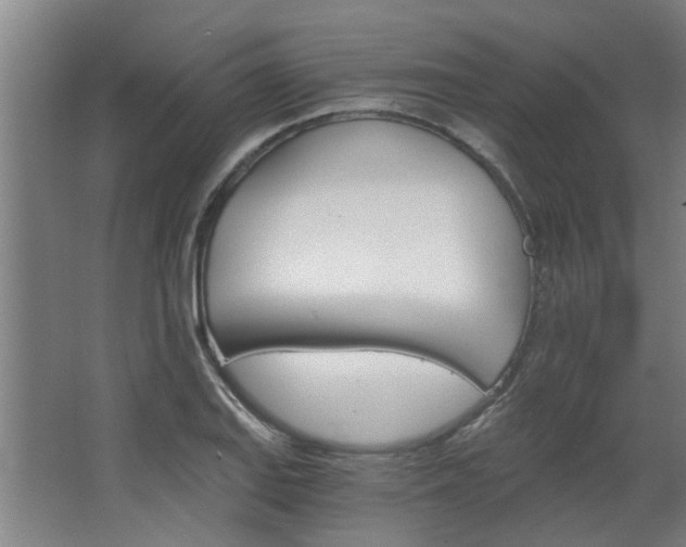 X0000068731127200604280943