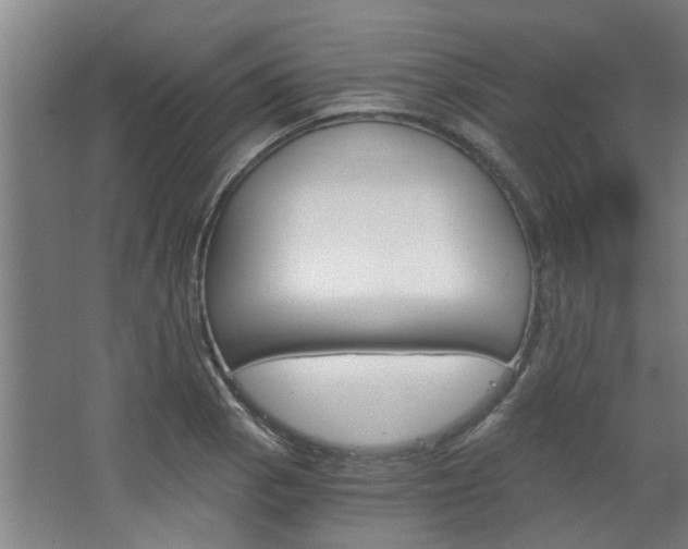 X0000068731129200604280943
