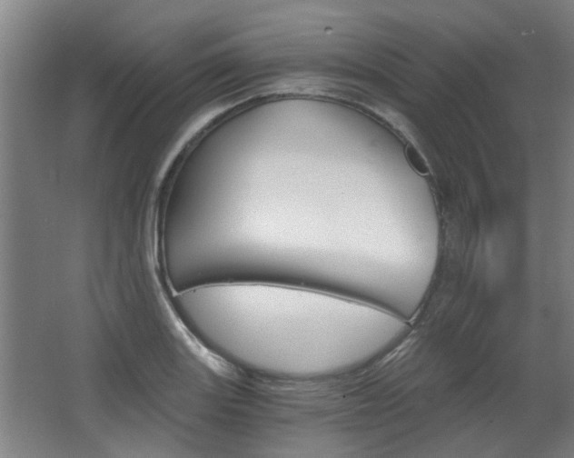 X0000068731131200604280943