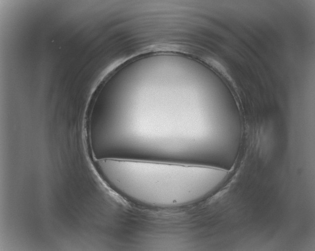 X0000068731133200604280943