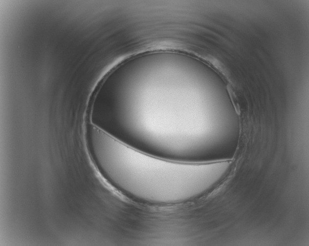 X0000068731134200604280943