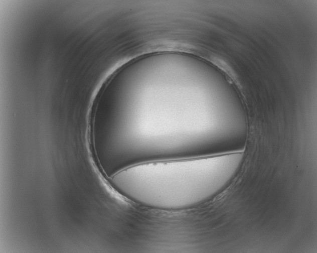 X0000068731136200604280943