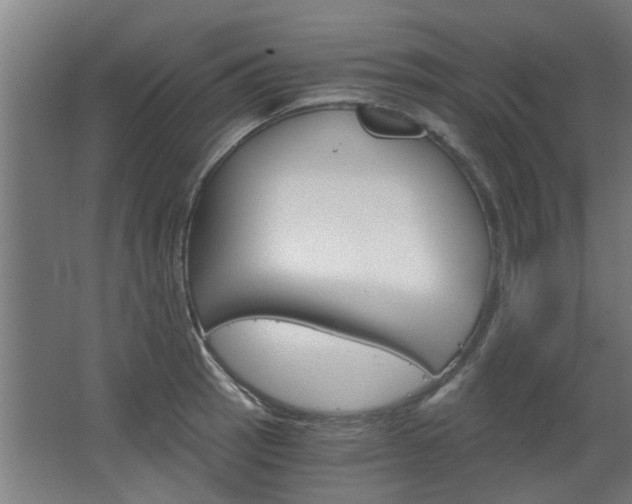 X0000068731137200604280943