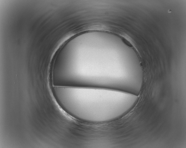 X0000068731139200604280943