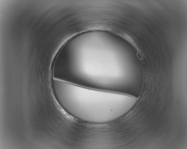 X0000068731140200604280943