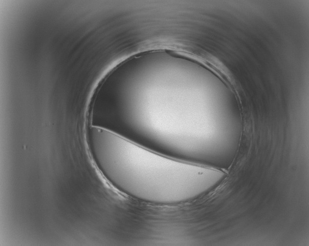 X0000068731144200604280943