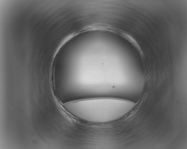 X0000068731146200604280943