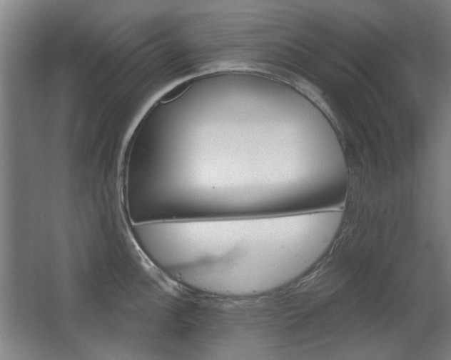 X0000068731148200604280943