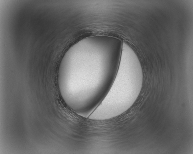 X0000068731153200604280943