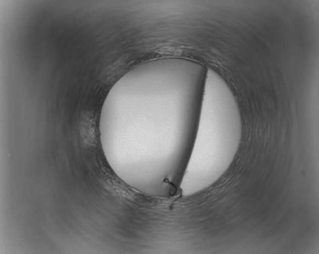 X0000068731154200604280943