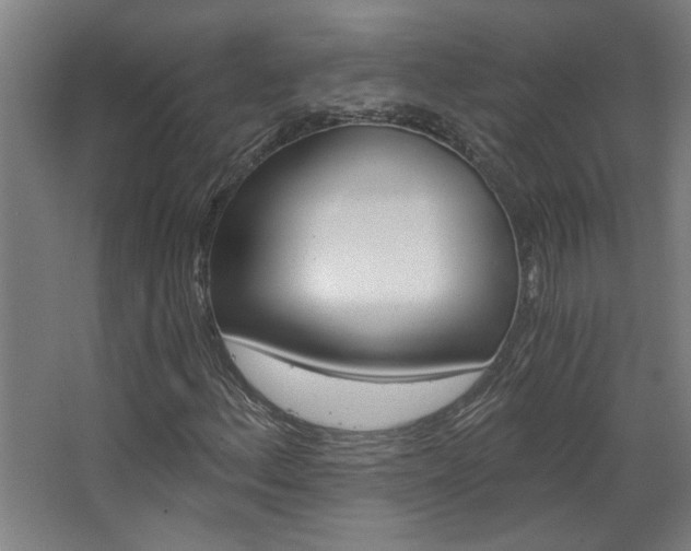 X0000068731156200604280943