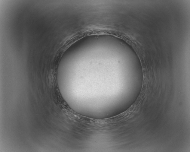 X0000068731157200604280943