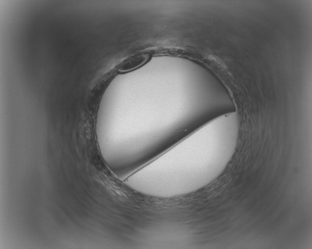 X0000068731159200604280943